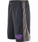 Mount View Performance Shorts